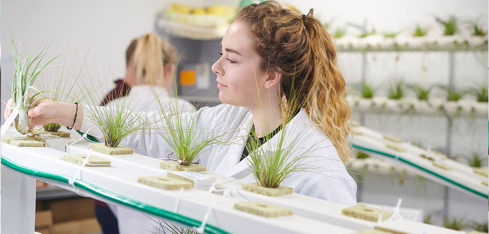 University of Edinburgh Background Image